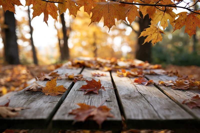 Weathered wooden picnic table scattered with autumn leaves in a forest clearing