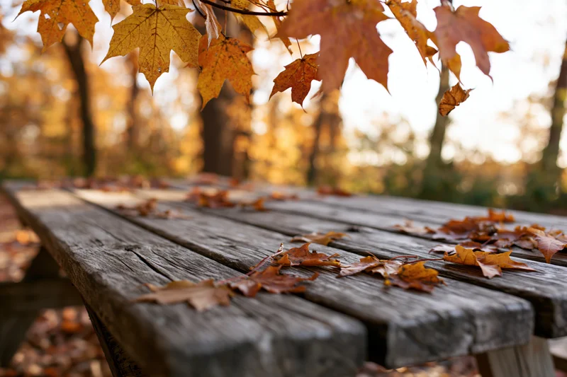 Weathered wooden picnic table with scattered autumn leaves in a forest clearing