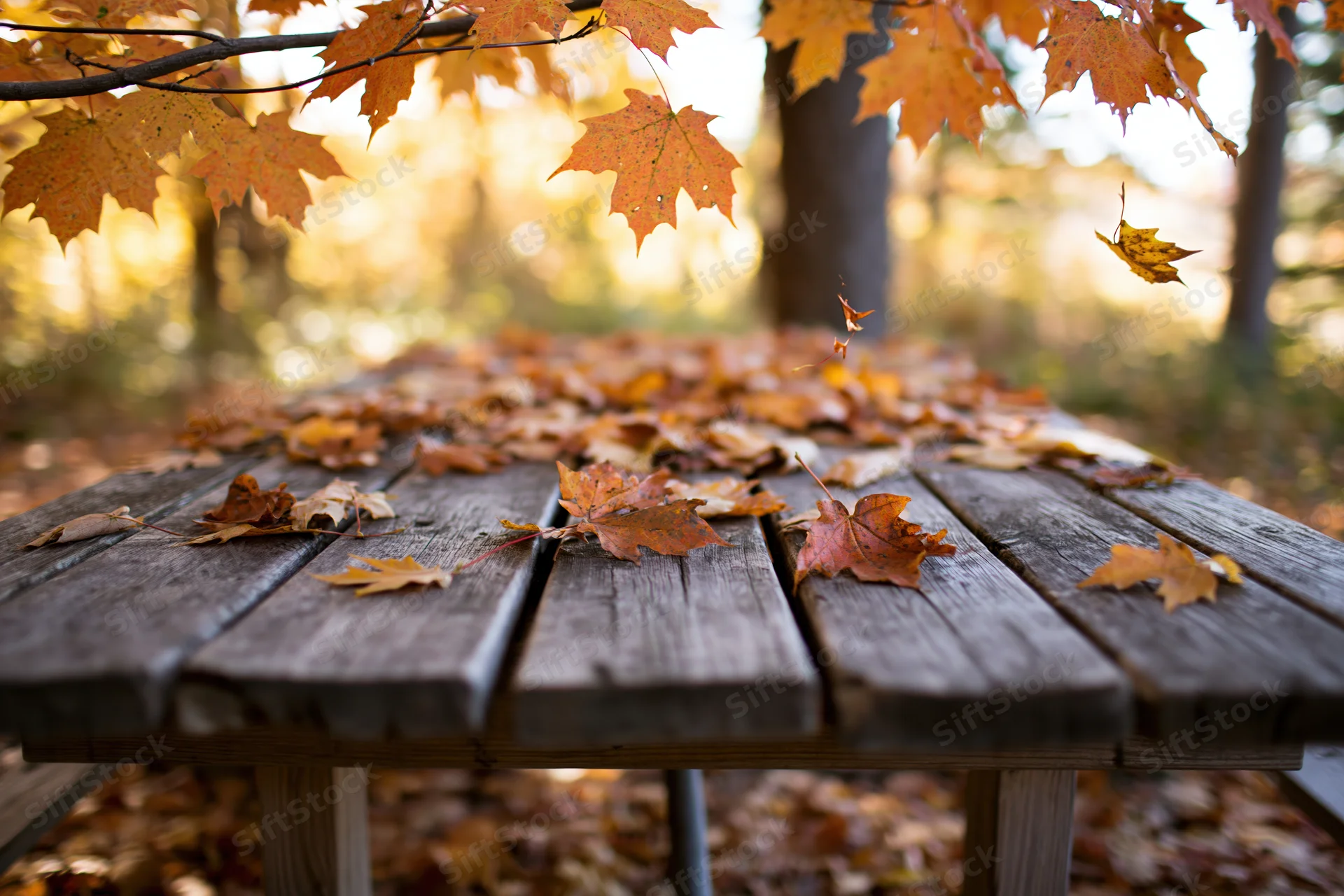 Weathered wooden picnic table covered in scattered autumn leaves in a forest clearing