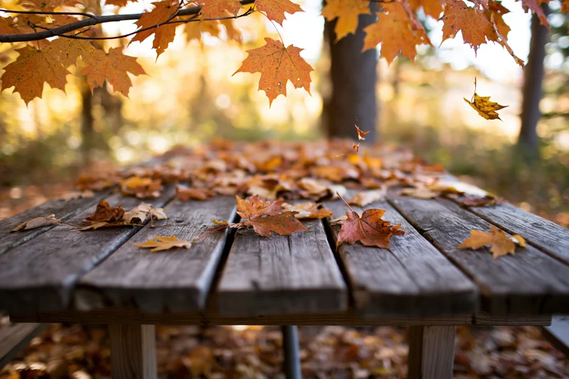 Weathered wooden picnic table covered in scattered autumn leaves in a forest clearing