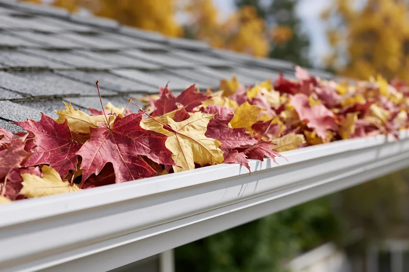 White plastic gutter filled with fallen maple leaves along a roof edge in autumn