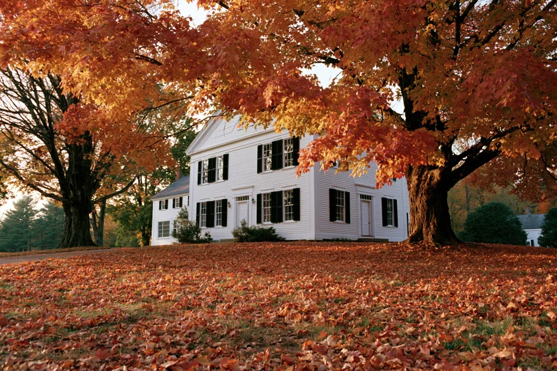 White two-story colonial house framed by large maple trees with autumn foliage in a rural yard covered in fallen leaves