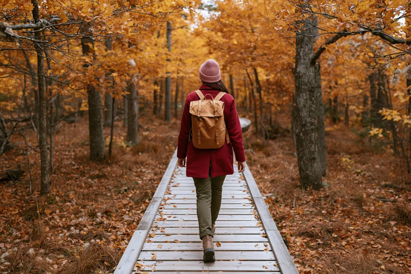 Woman walking away on wooden boardwalk through autumn forest with fallen leaves and colorful trees