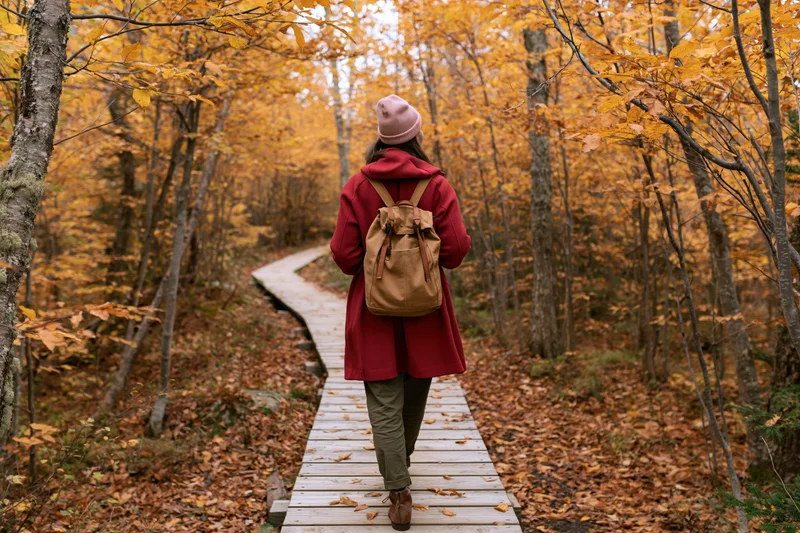Woman walking along a narrow wooden boardwalk through an autumn forest with golden foliage