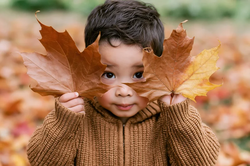 Toddler peeking through two large maple leaves in autumn park