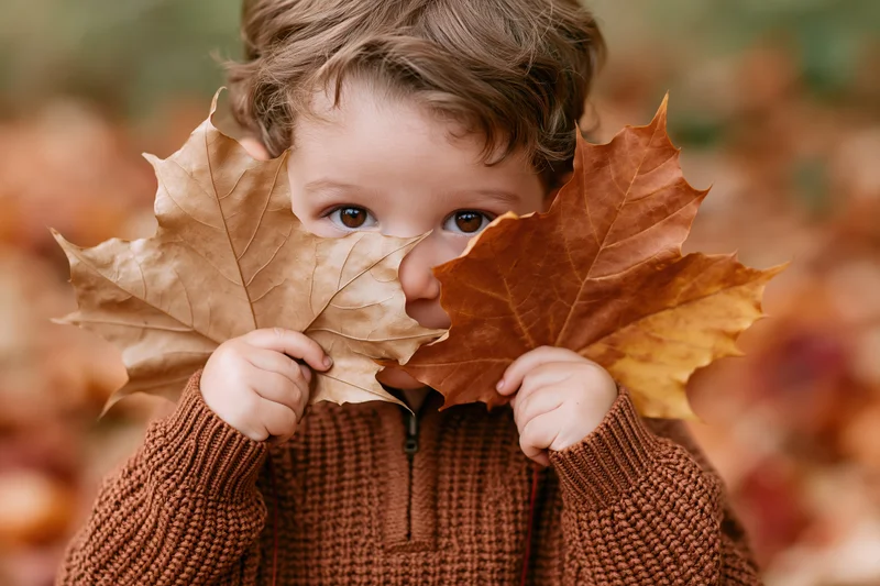 Toddler peeking through two large maple leaves in autumn foliage