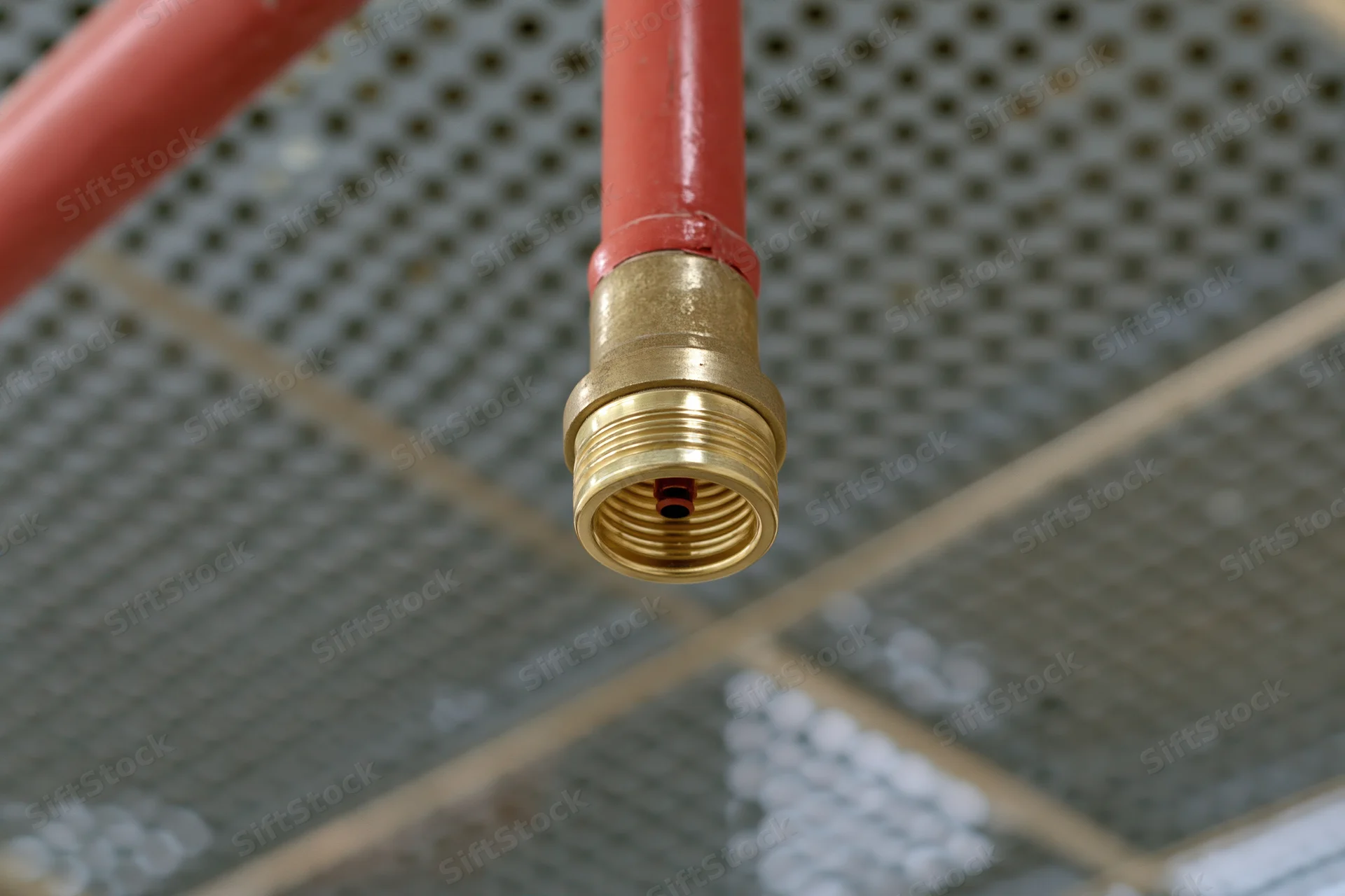 Brass fire sprinkler head mounted on red pipe against perforated ceiling