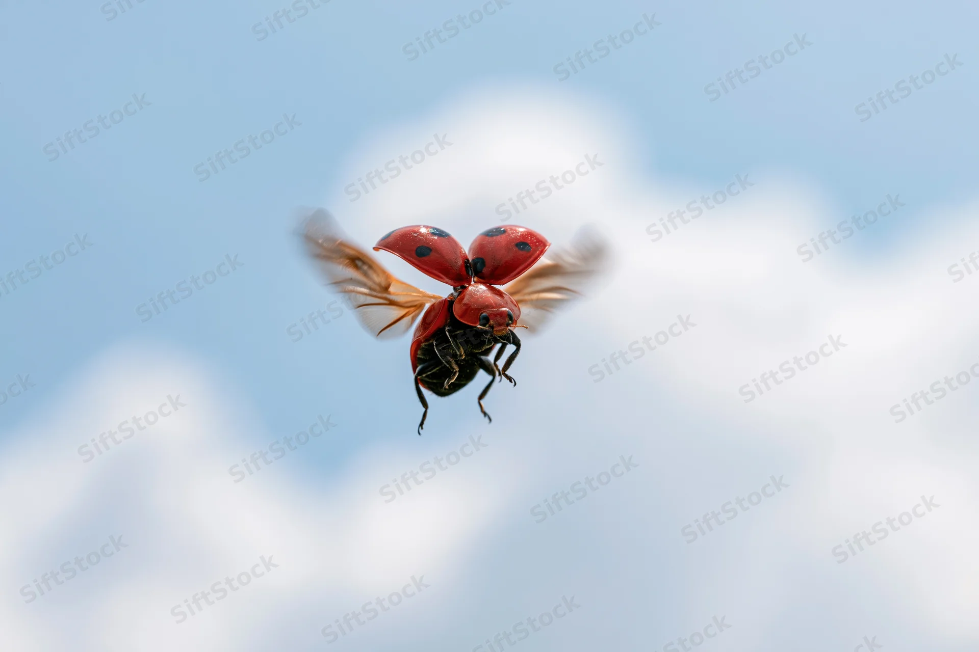 Ladybug in mid-flight with wings extended against a blue sky with clouds
