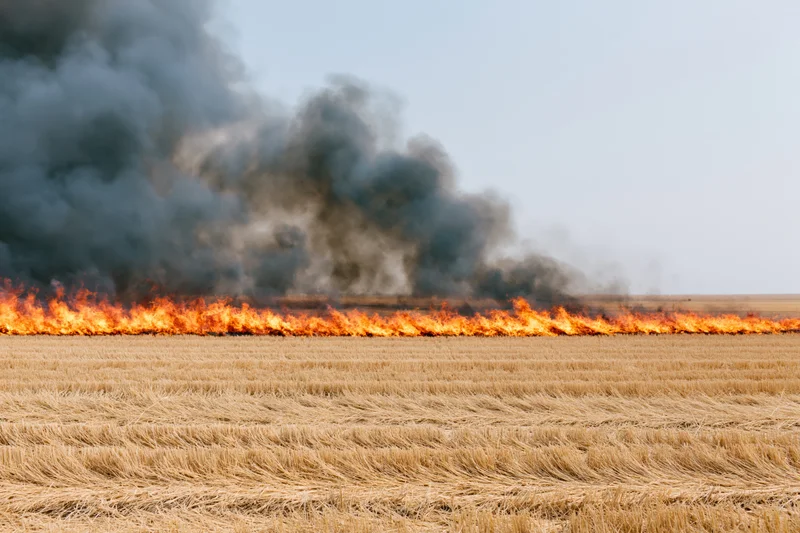 Wildfire burning across a flat harvested wheat field