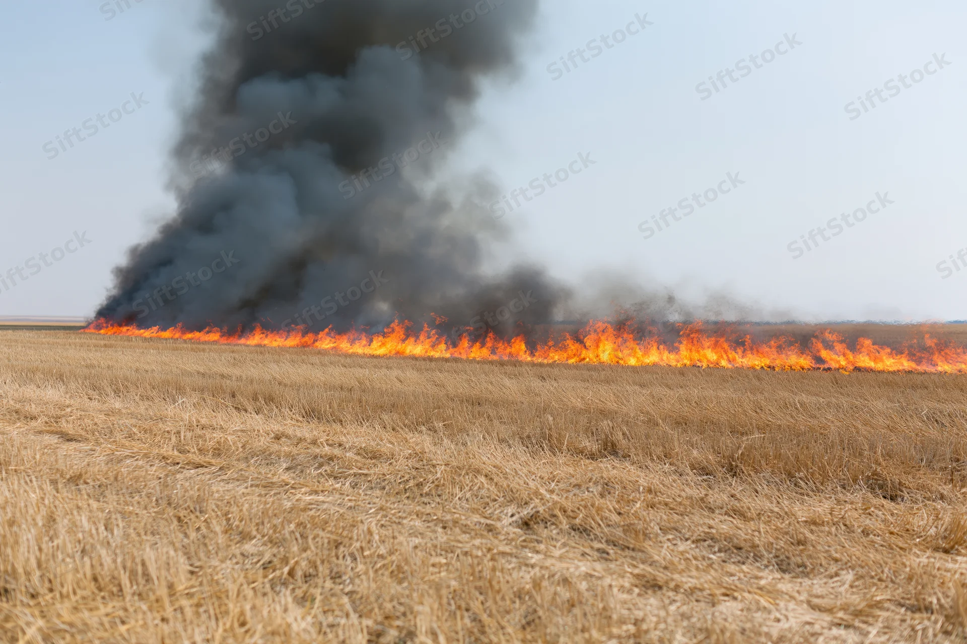 Wildfire burning across a flat harvested wheat field under a clear sky