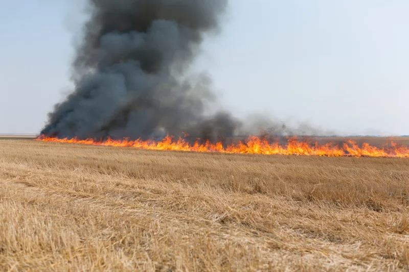 Wildfire burning across a flat harvested wheat field under a clear sky
