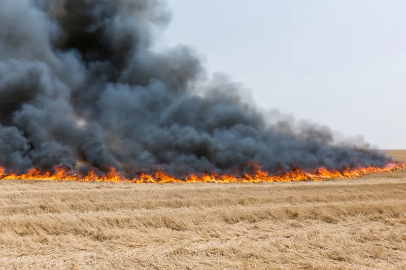 Wildfire burning across a dry harvested wheat field under a hazy sky