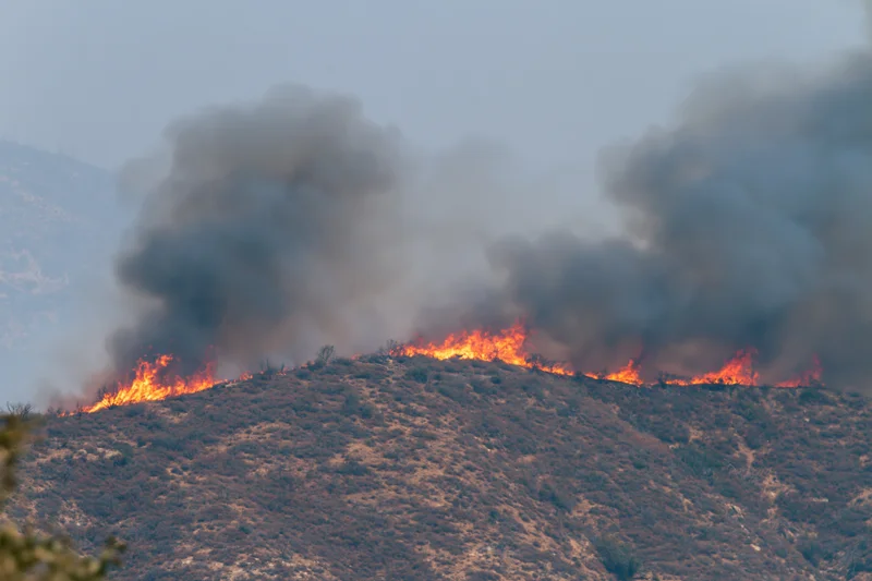 Wildfire burning along a dry hillside ridge with thick smoke rising into the sky