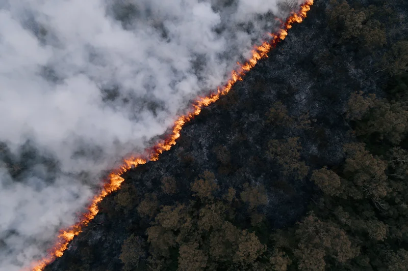 Aerial view of wildfire burning through forest landscape with thick smoke and charred ground