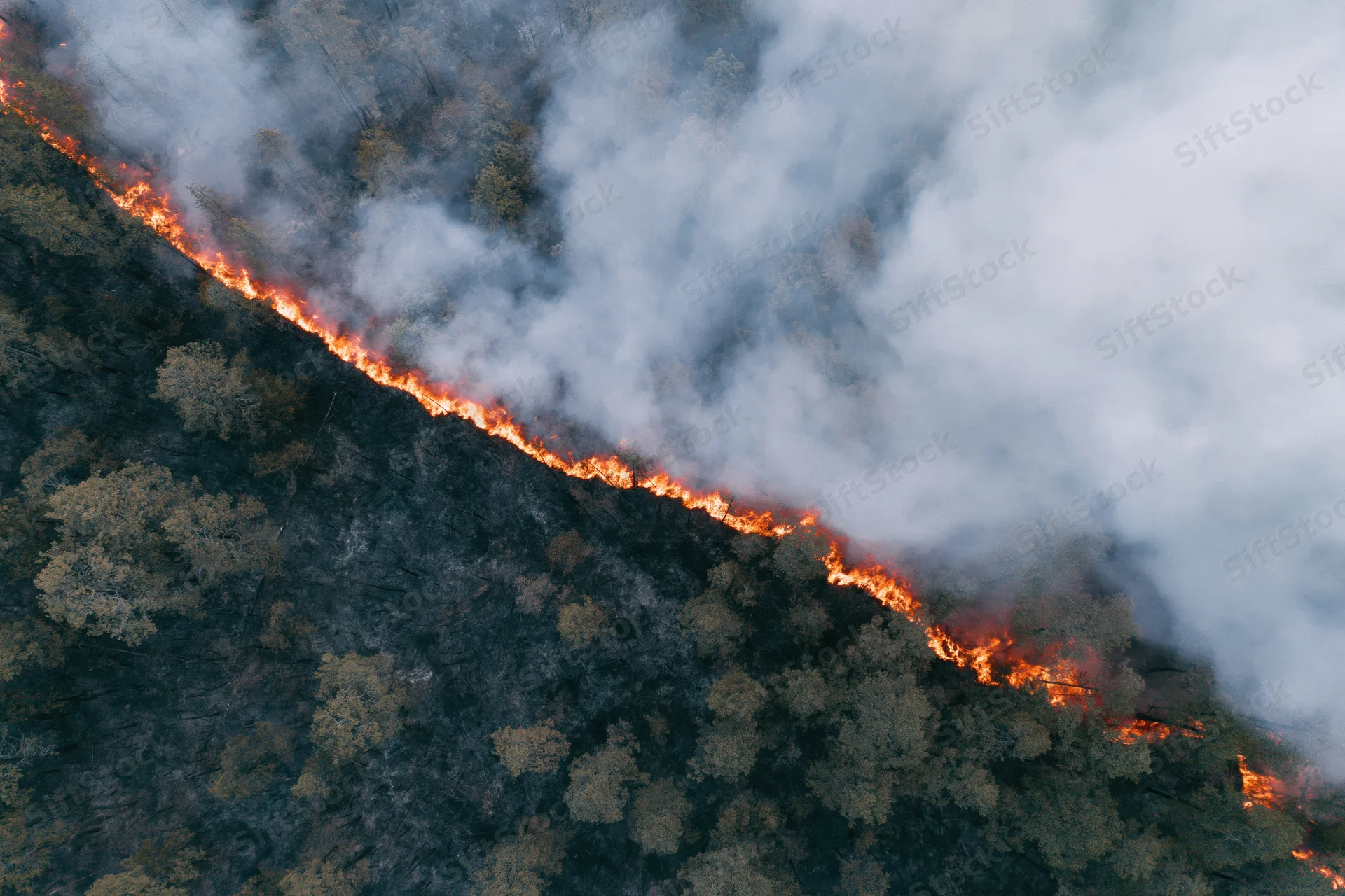 Aerial view of wildfire burning through forest landscape with thick smoke and flames