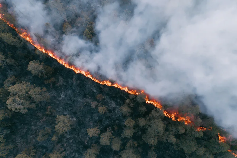 Aerial view of wildfire burning through forest landscape with thick smoke and flames