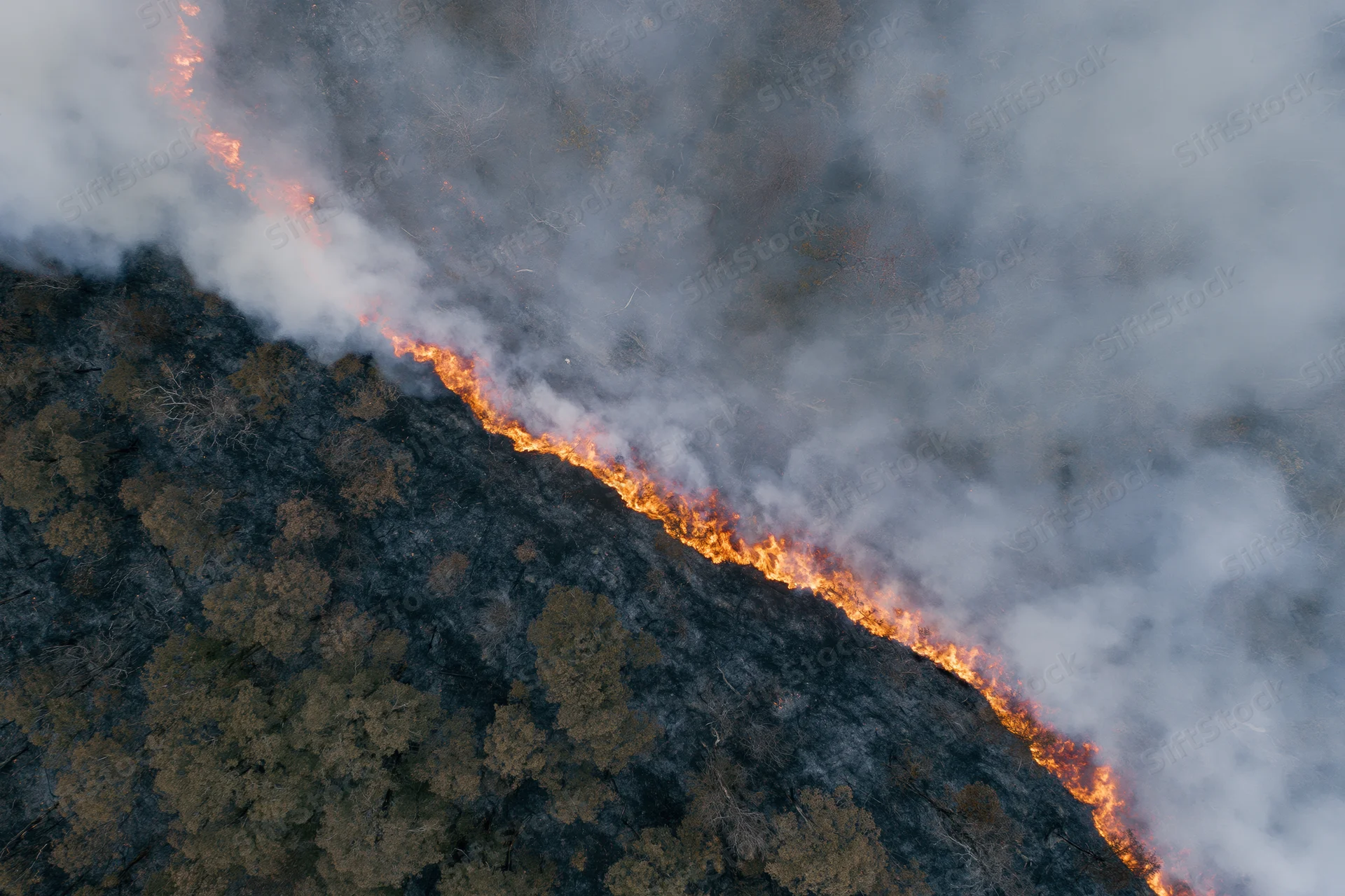 Aerial view of wildfire burning through forest landscape with thick smoke and charred trees