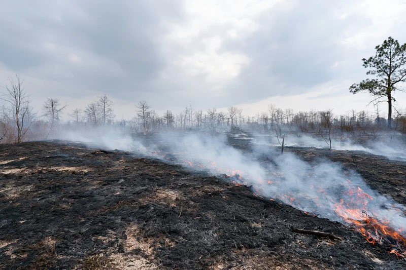 Smoldering forest ground with rising smoke and scattered flames under cloudy sky