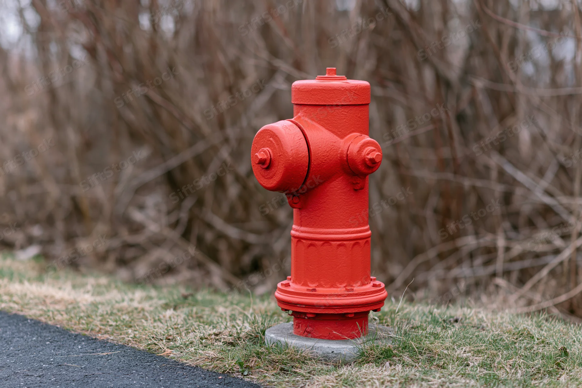 Bright red fire hydrant on concrete base beside grass and pavement with bare branches in background