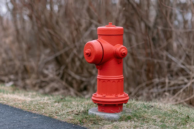 Bright red fire hydrant on concrete base beside grass and pavement with bare branches in background