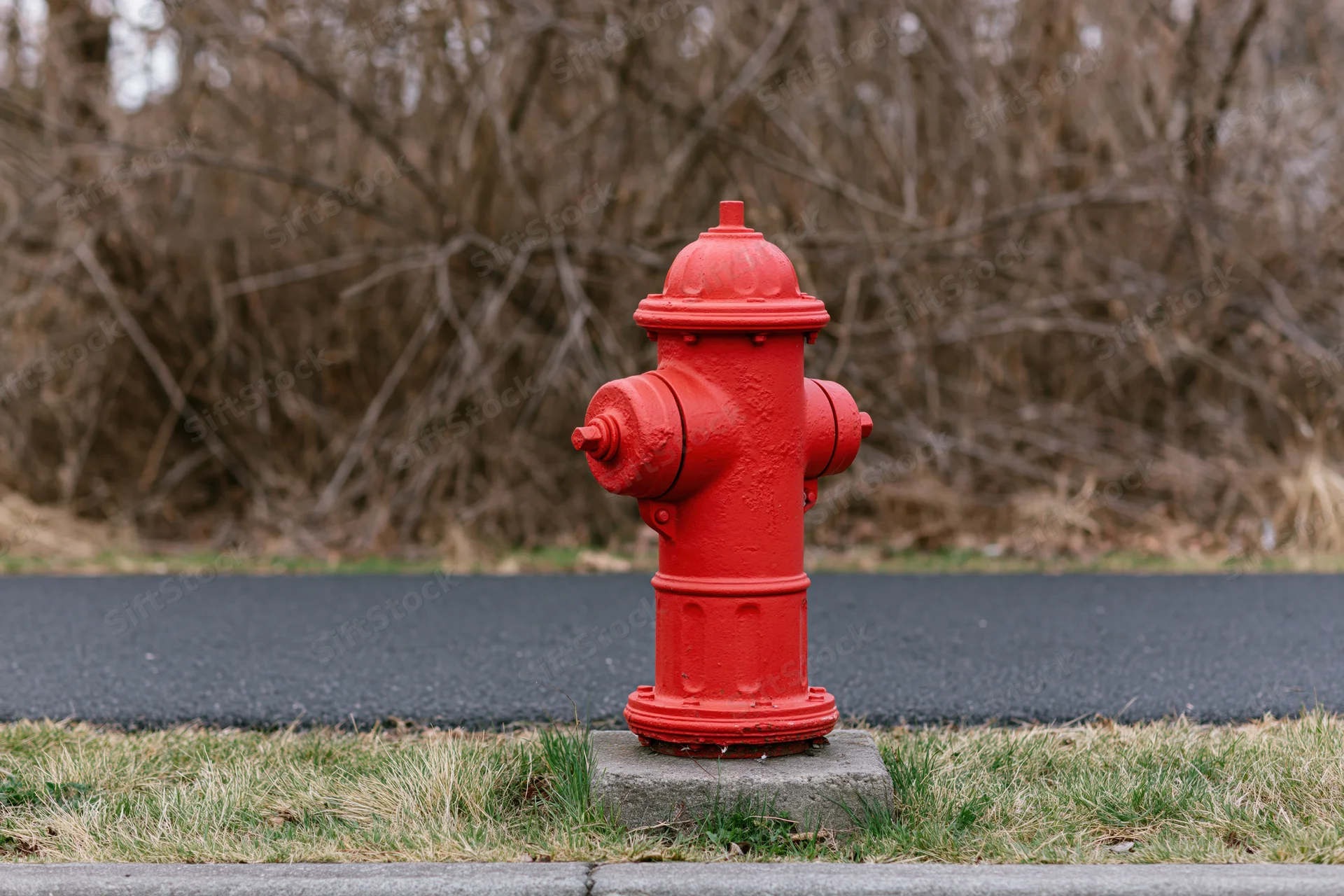 Bright red fire hydrant on concrete base beside asphalt road and grassy curb