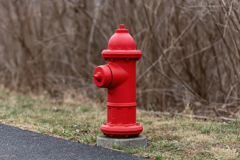 Bright red fire hydrant on concrete base beside asphalt road with dry grass and bare shrubs in background