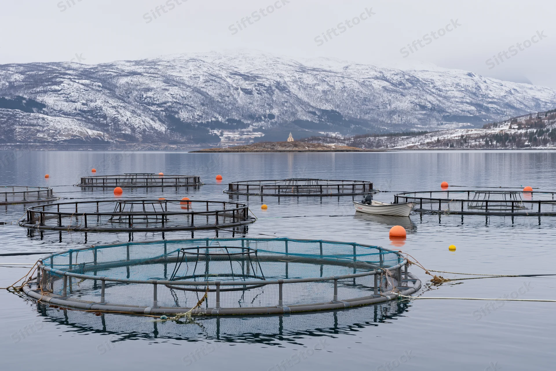 Circular net cages floating on calm bay water with snow-covered mountains in background