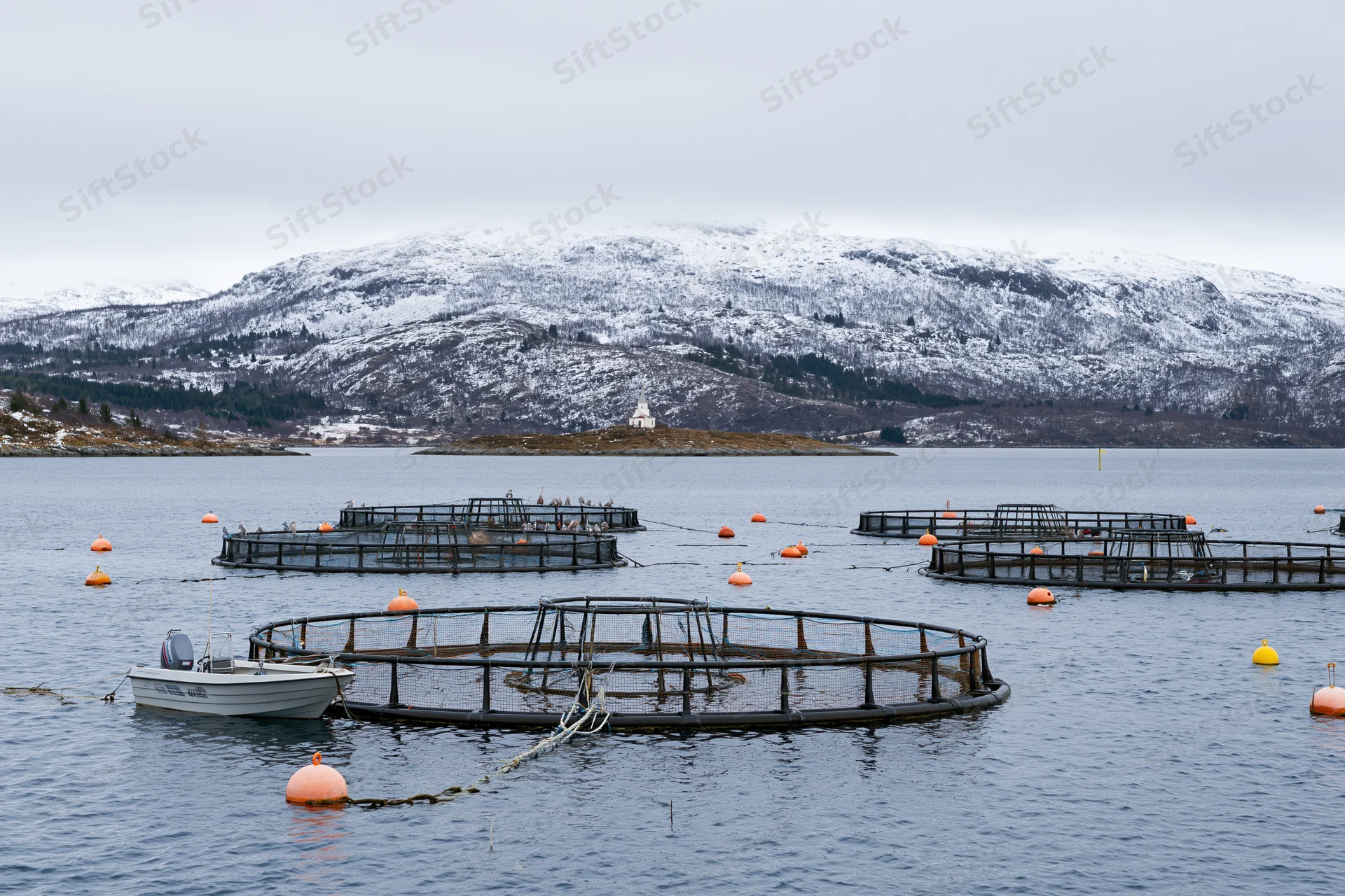 Circular net cages for fish farming floating on a calm bay with a snow-covered mountain in the background and a small motorboat nearby