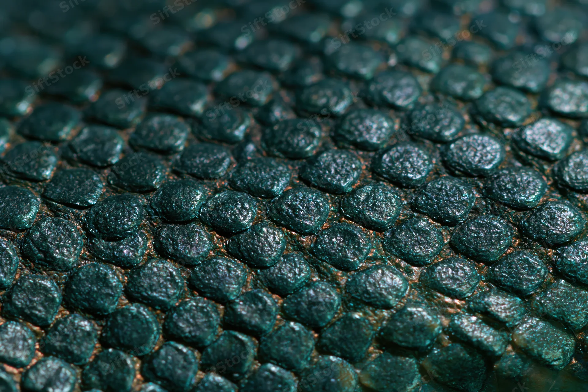 Close-up of iridescent reptile scales showing detailed texture and overlapping pattern