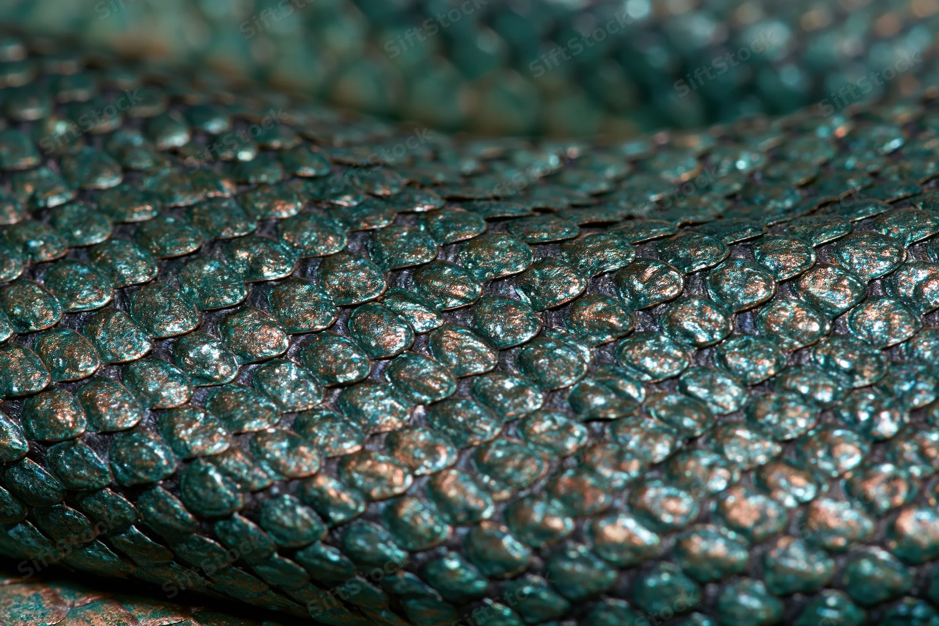 Closeup of iridescent reptile scales showing detailed texture and overlapping pattern