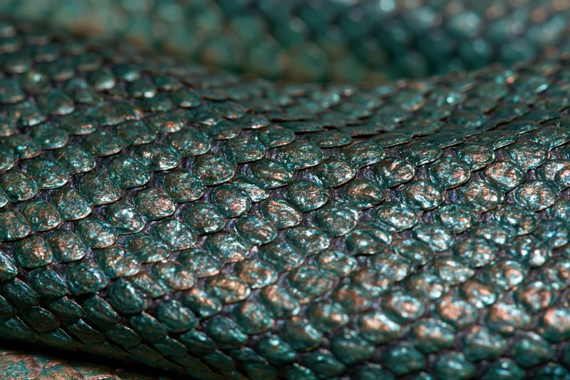 Closeup of iridescent reptile scales showing detailed texture and overlapping pattern