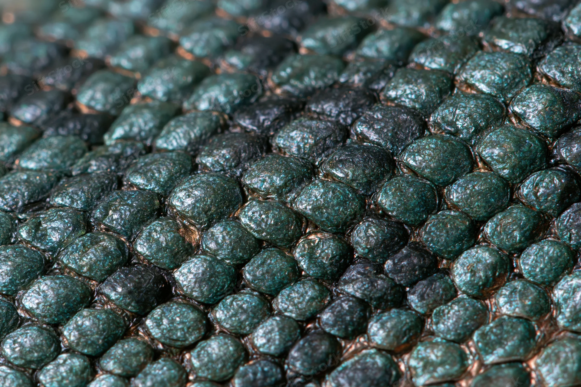 Close-up of iridescent green and black reptile scales showing detailed texture and pattern