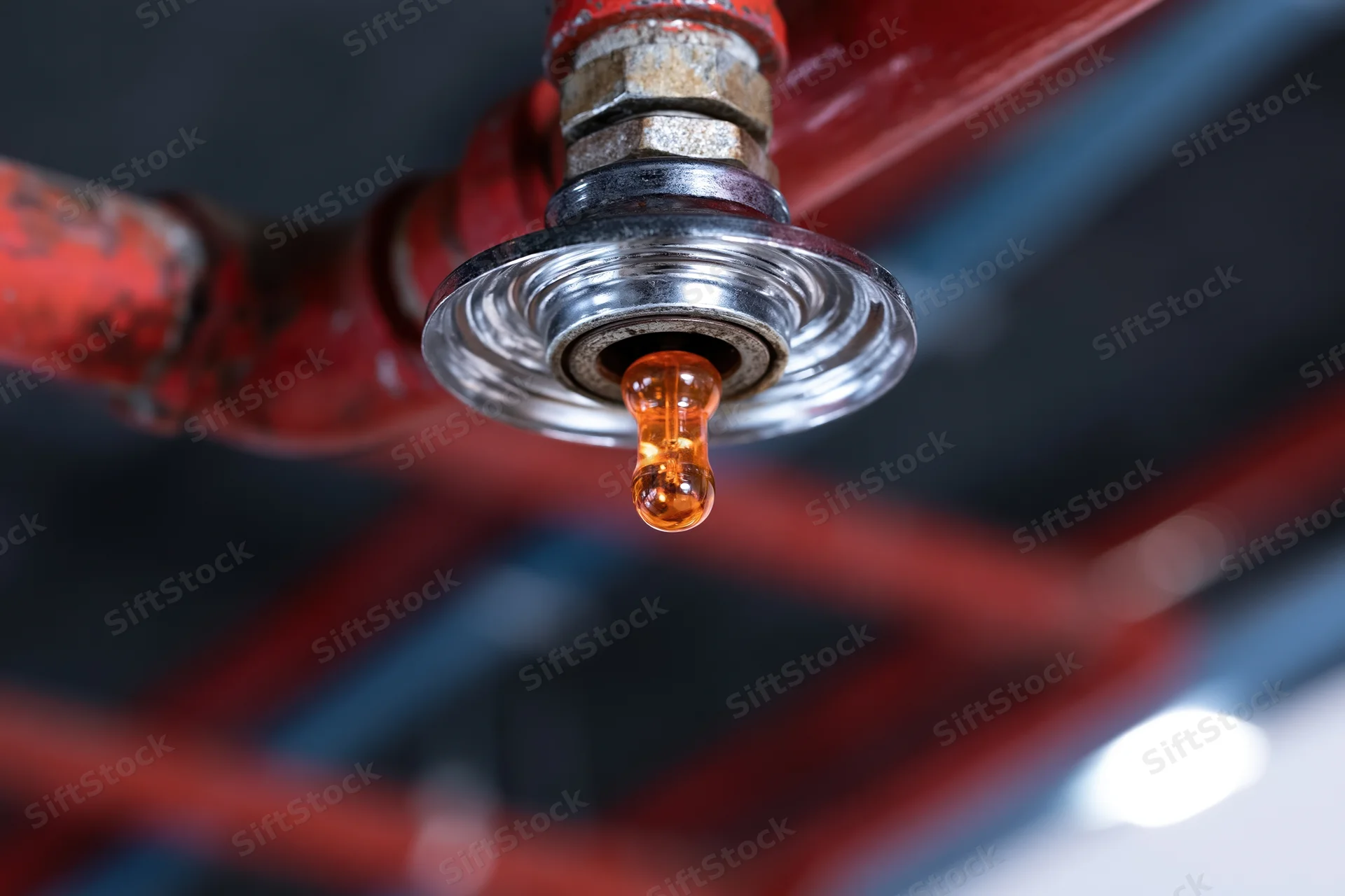 Fire sprinkler head dripping water from a red pipe mounted overhead