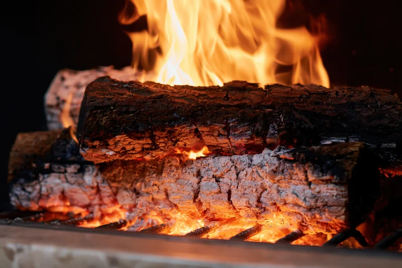 Burning firewood logs on a metal grate with flames and embers glowing in a fireplace