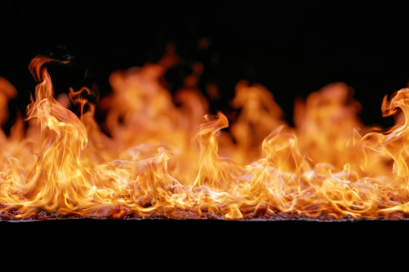 Close-up of wild fire flames leaping and curling dynamically against black background