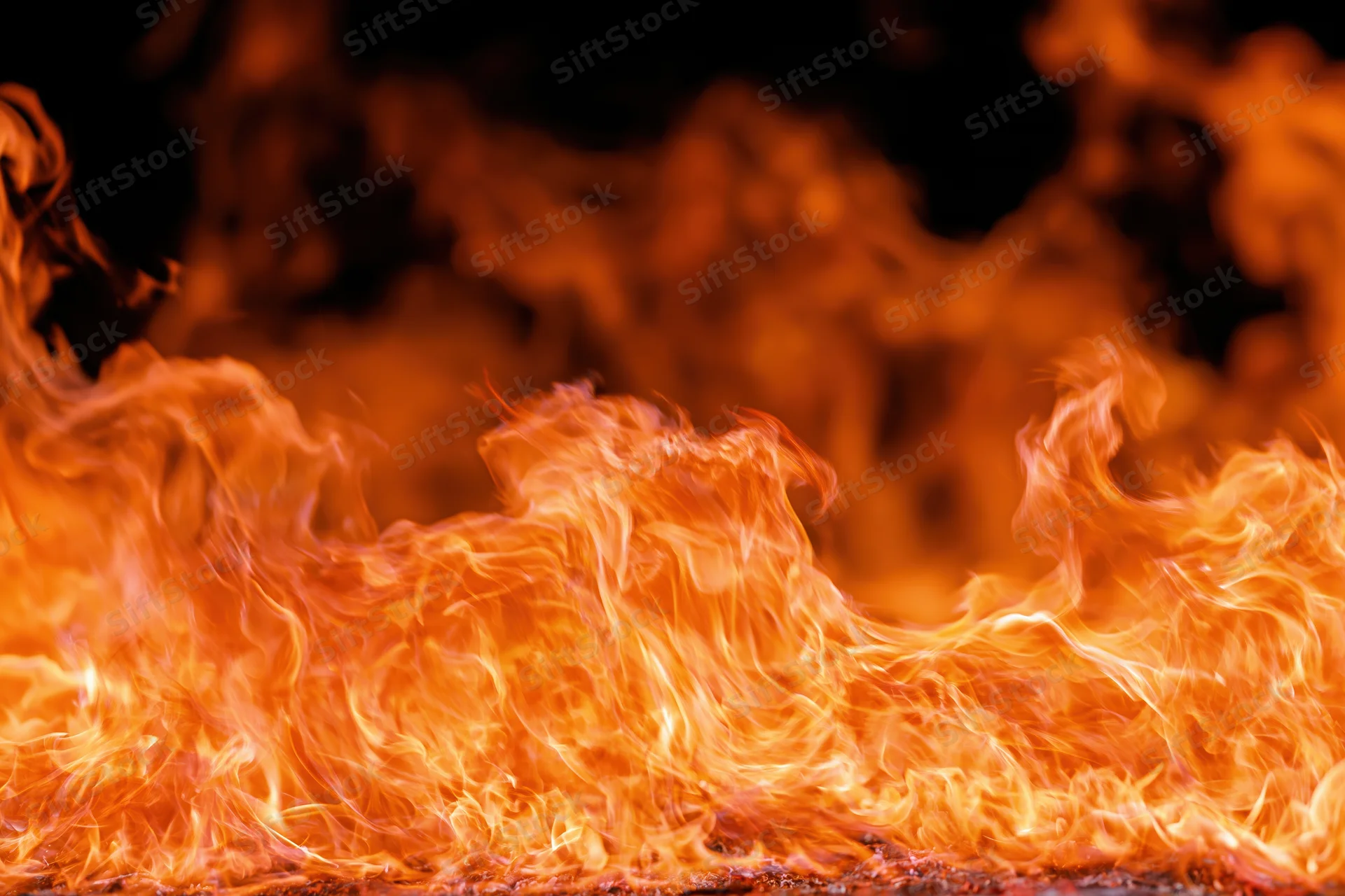 Close-up of wild fire flames leaping and curling dynamically against dark background