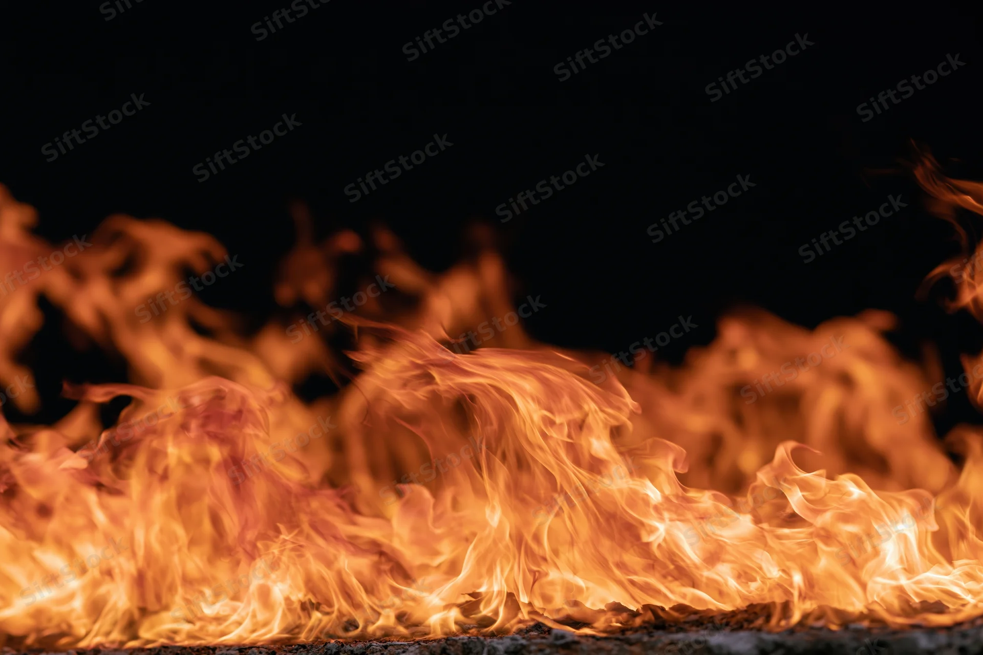 Close-up of wild fire flames leaping and curling dynamically against dark background