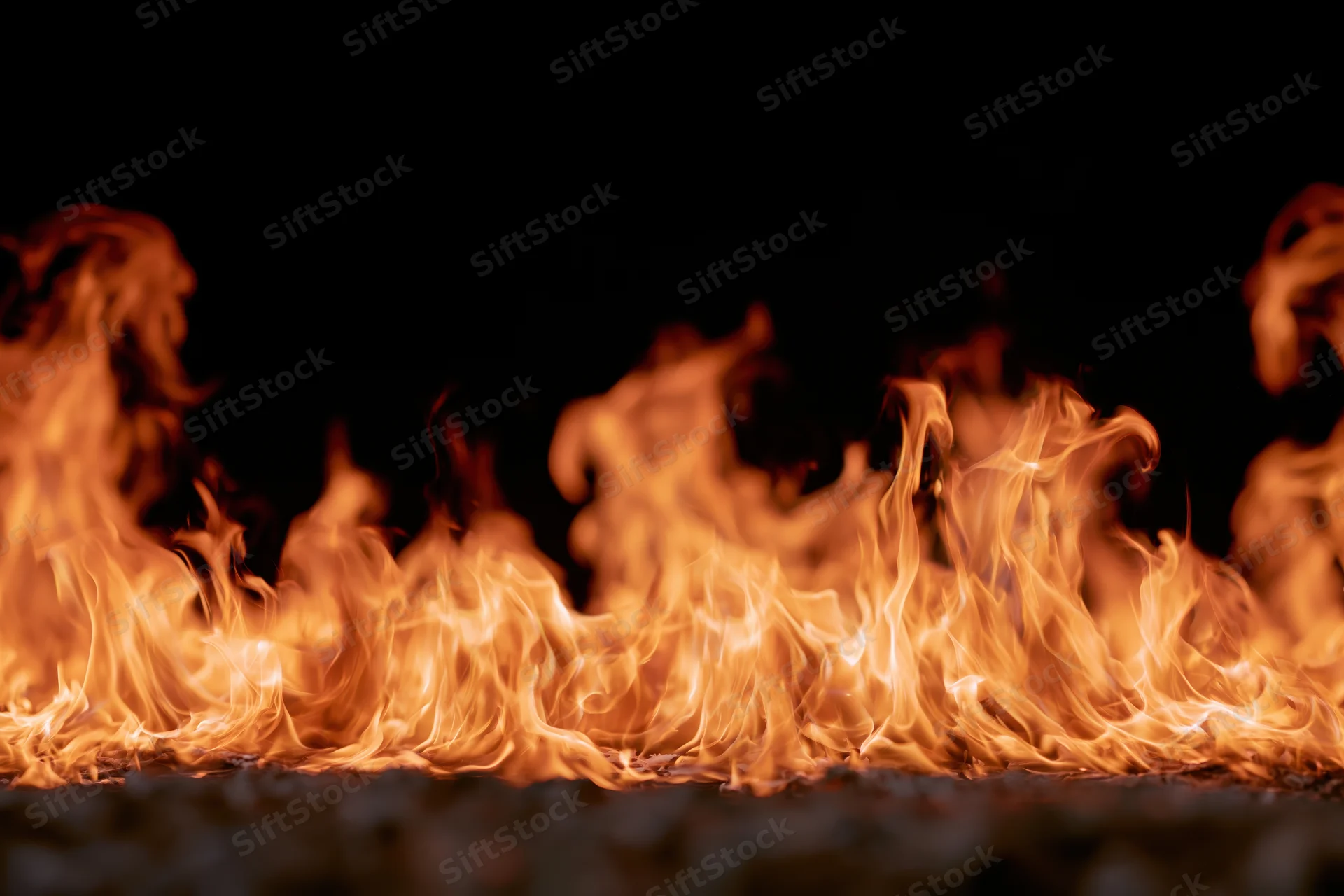 Close-up of wild fire flames leaping and curling dynamically against dark background