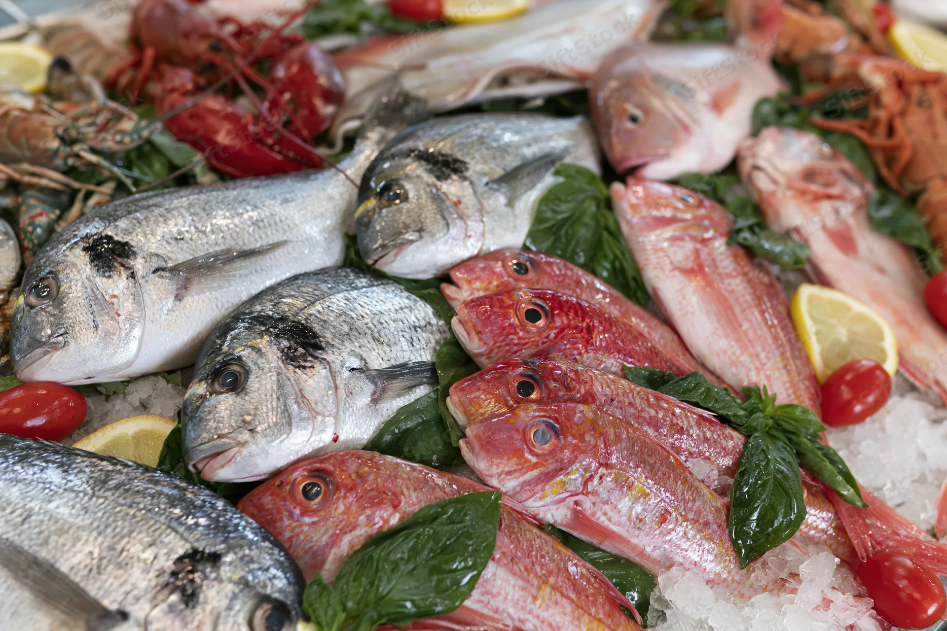 Whole fresh fish and shellfish arranged on crushed ice with basil and lemon slices