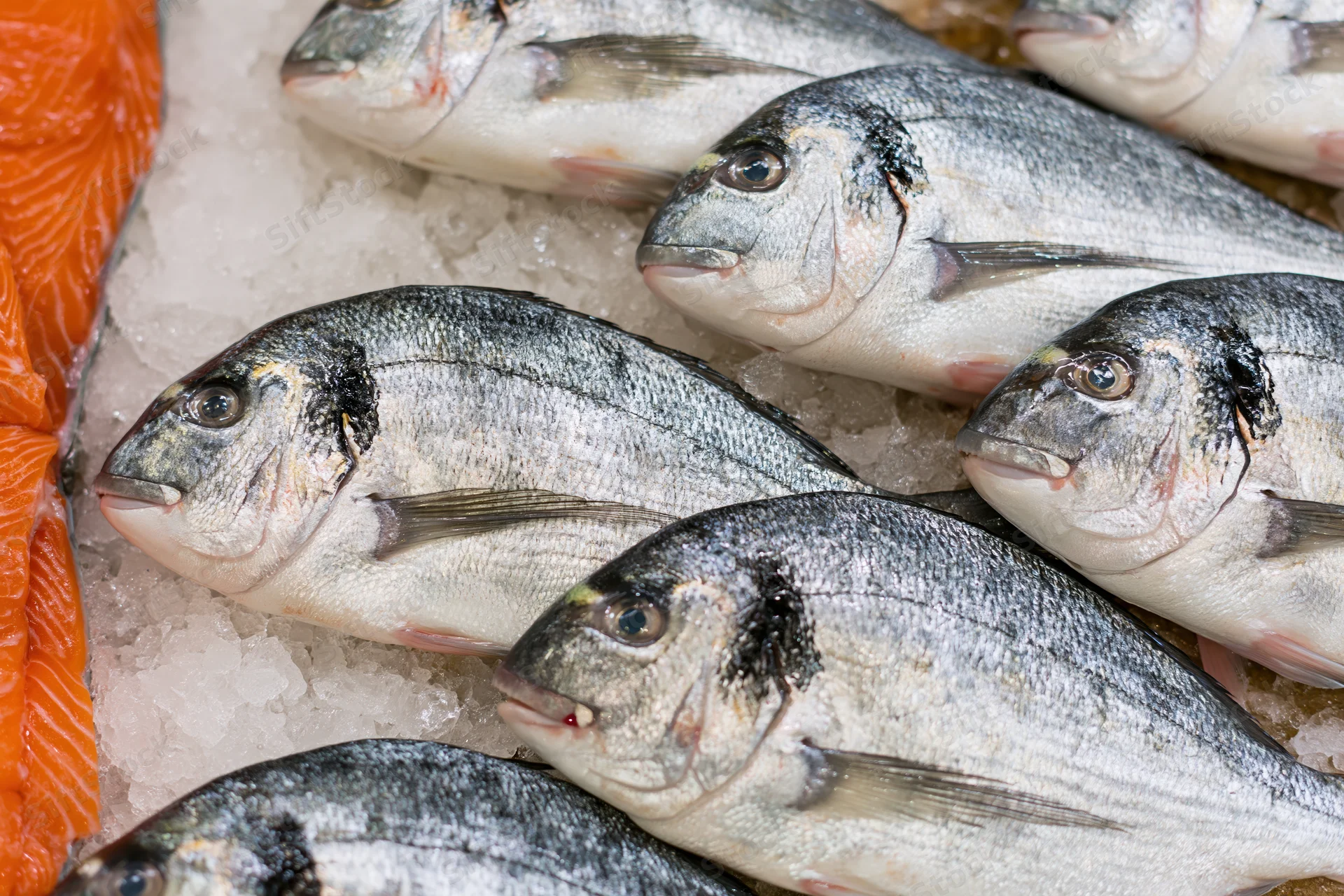 Whole sea bream fish arranged on crushed ice at a seafood market display
