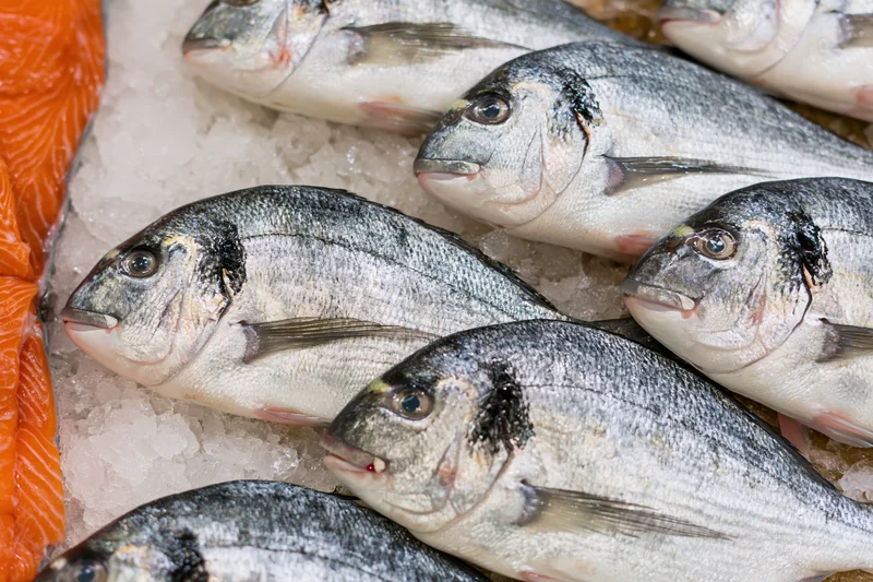 Whole sea bream fish arranged on crushed ice at a seafood market display