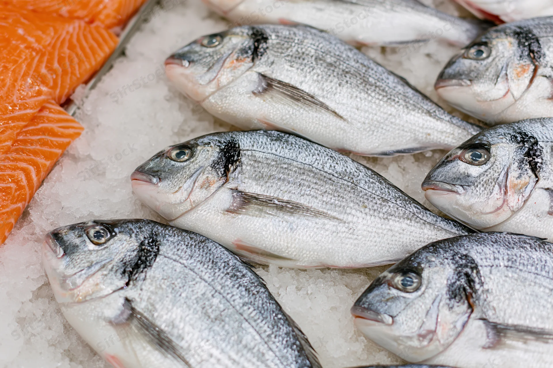 Whole sea bream fish arranged on crushed ice at a market display