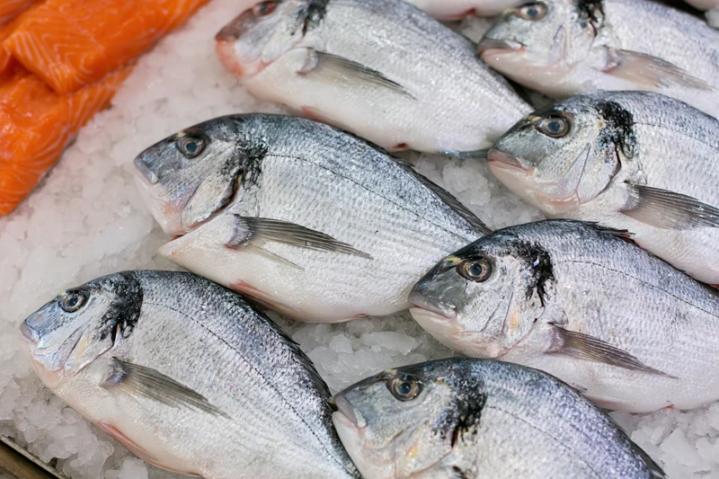 Whole sea bream fish arranged on crushed ice at a market display