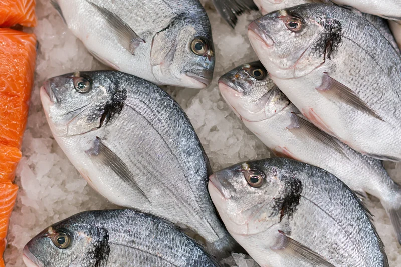 Whole sea bream fish arranged on crushed ice at a market display