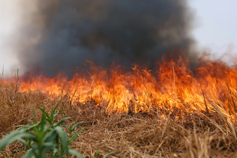 Flames burning across dry grass in a field with smoke rising into the sky