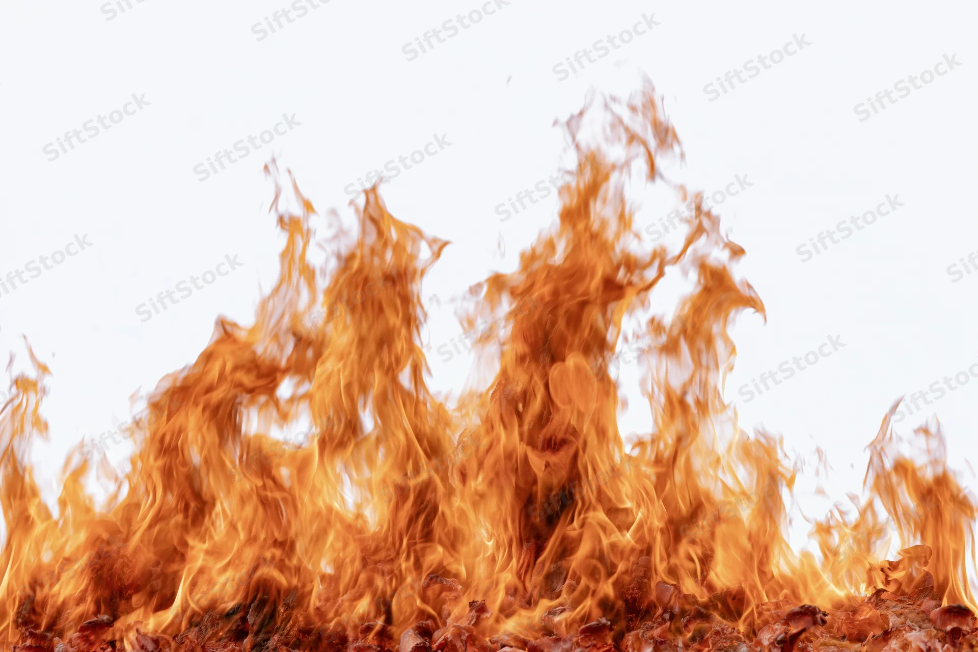 Fire flames burning upward against a pure white background