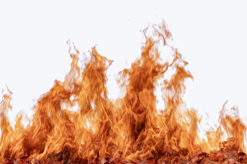 Fire flames burning upward against a pure white background