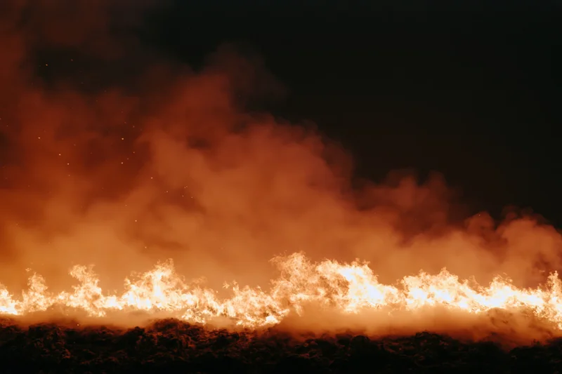 Intense flames burning across a dark forest landscape at night