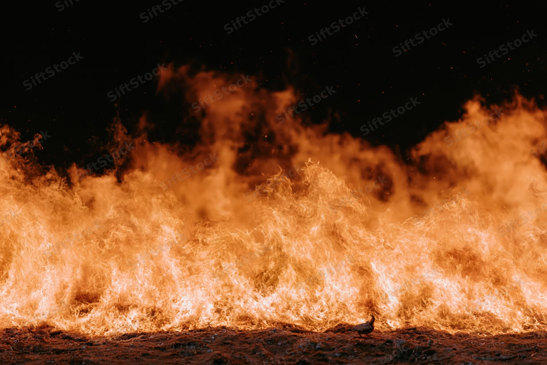 Intense flames burning across dark ground at night