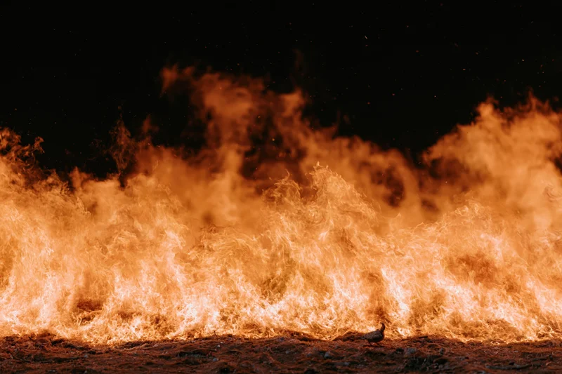 Intense flames burning across dark ground at night